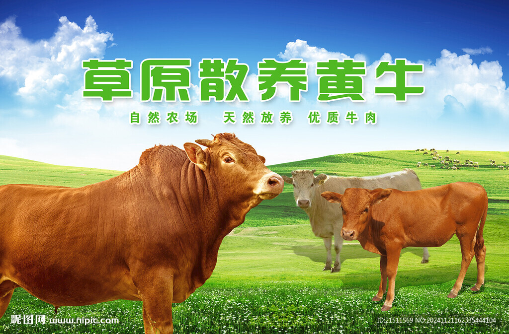 黄牛