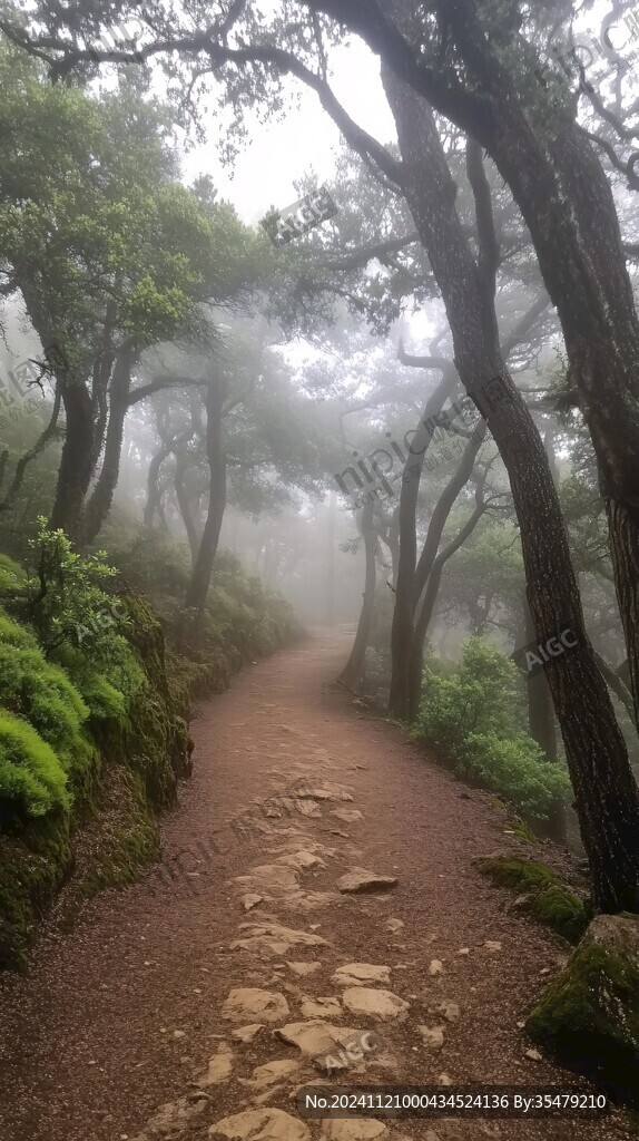 雾中登山小路