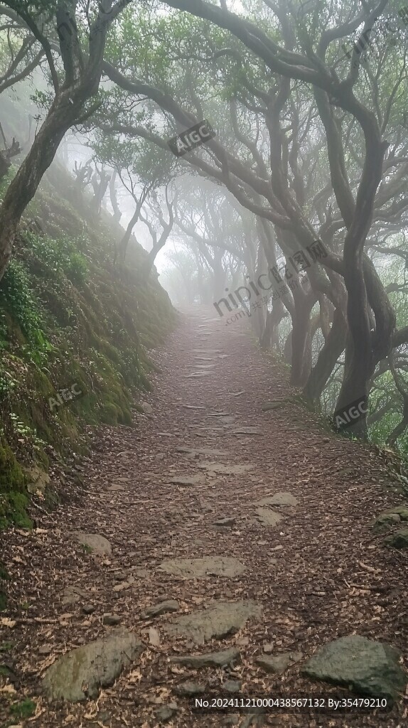 雾中登山小路