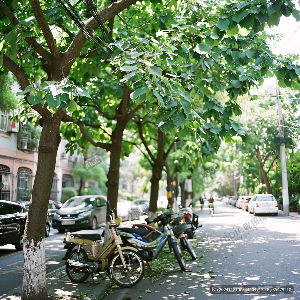 林荫北路