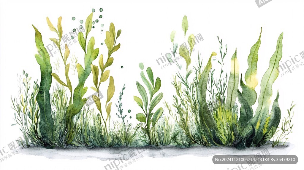 水草插画
