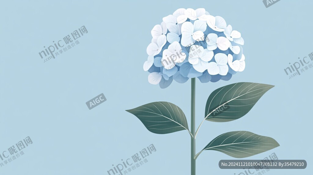 绣球插画