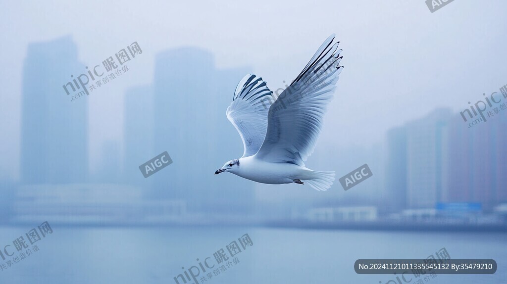 海鸥城市