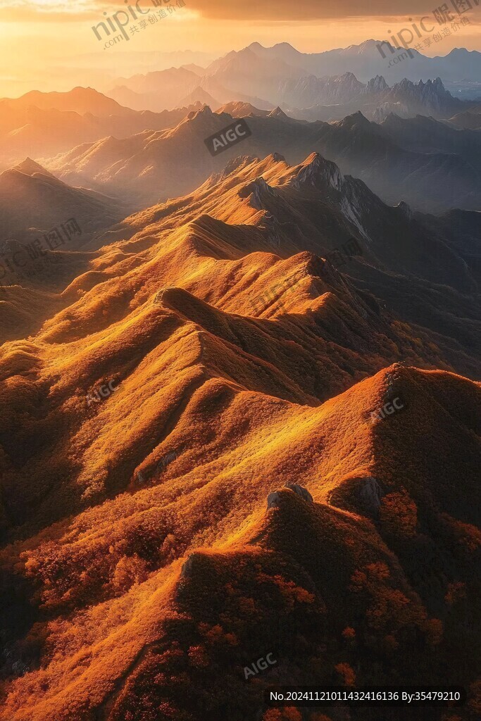 漫山金色