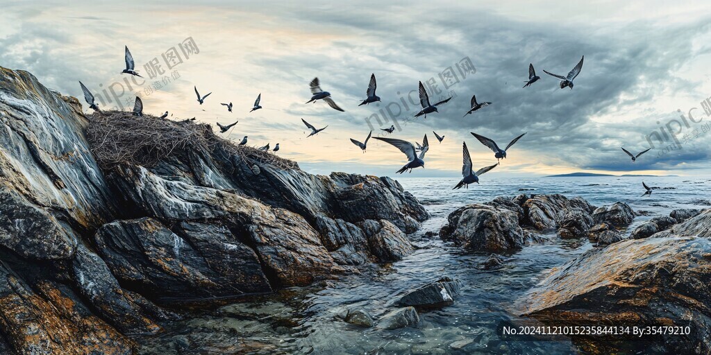 群鸿戏海