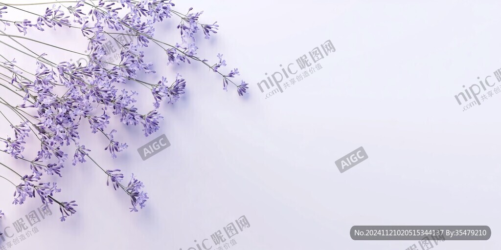 薰衣草色背景