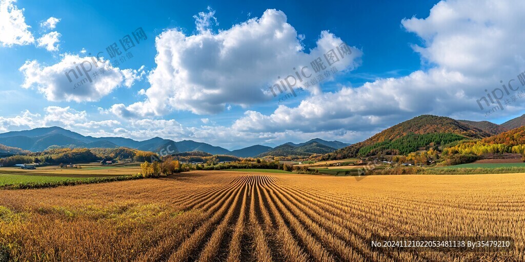 秋收田园全景图