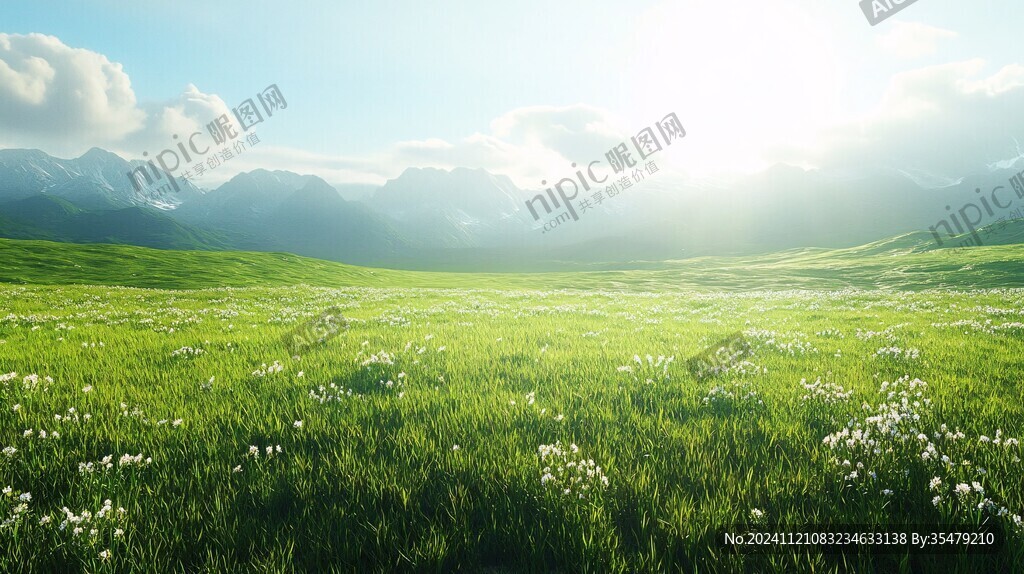 唯美梦幻花田场景