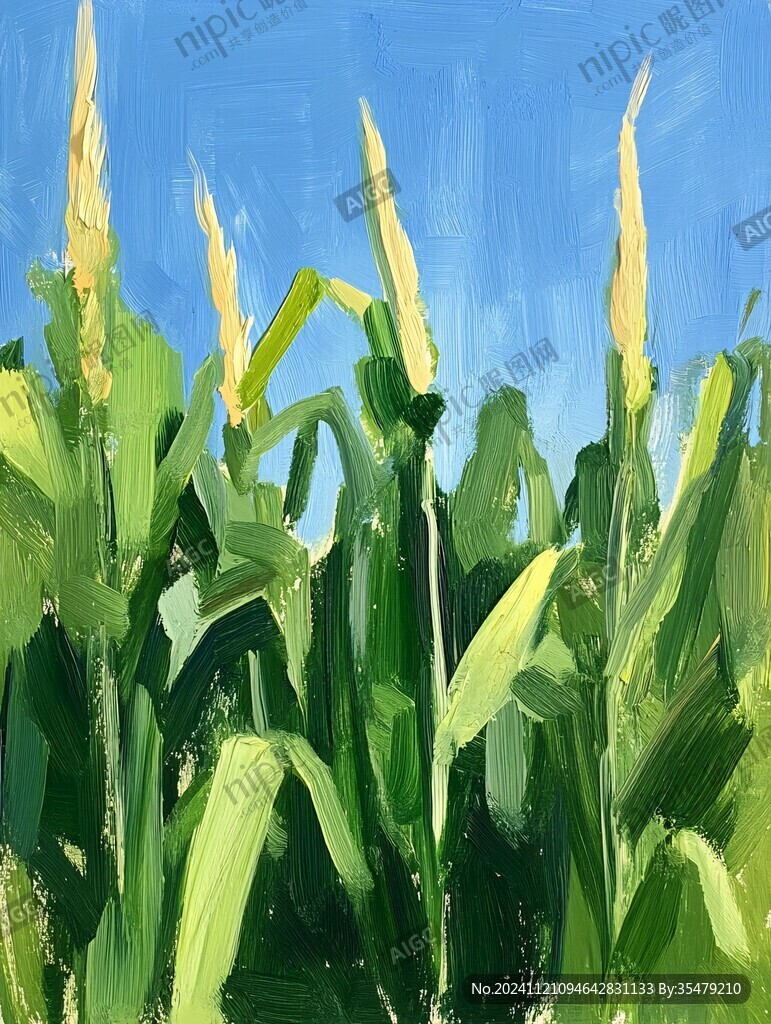高粱插画