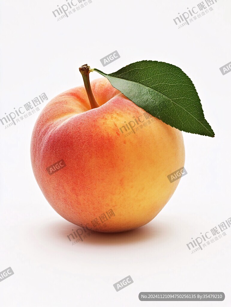 手绘写实黄桃