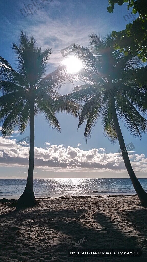 蓝天晚霞大海椰树