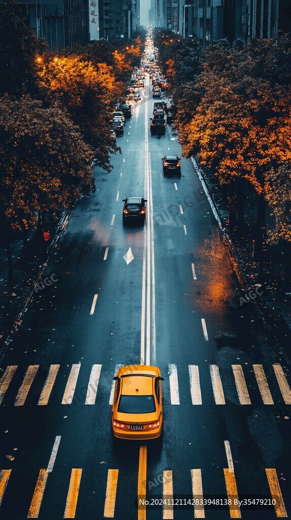 过路黄素材