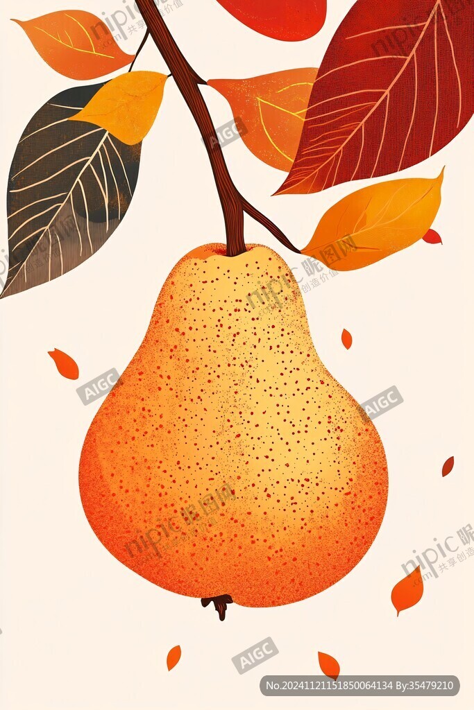 丰水梨插画