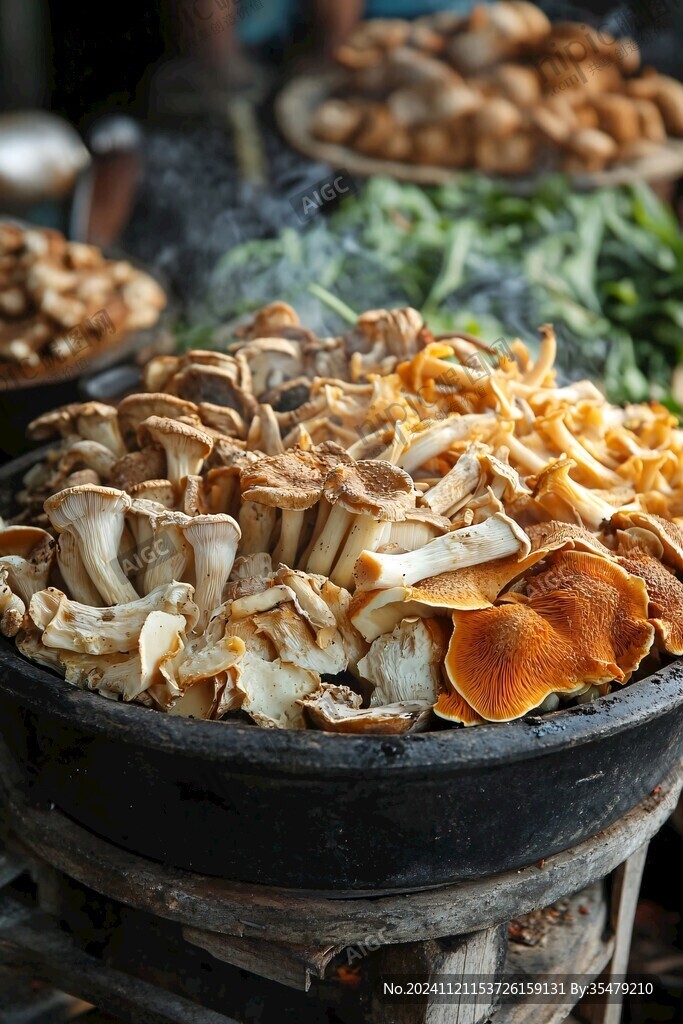 石锅菌