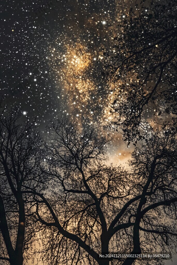 唯美星雨