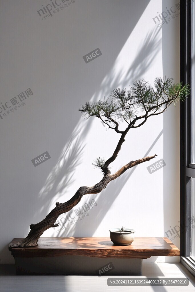 松树盆景光影