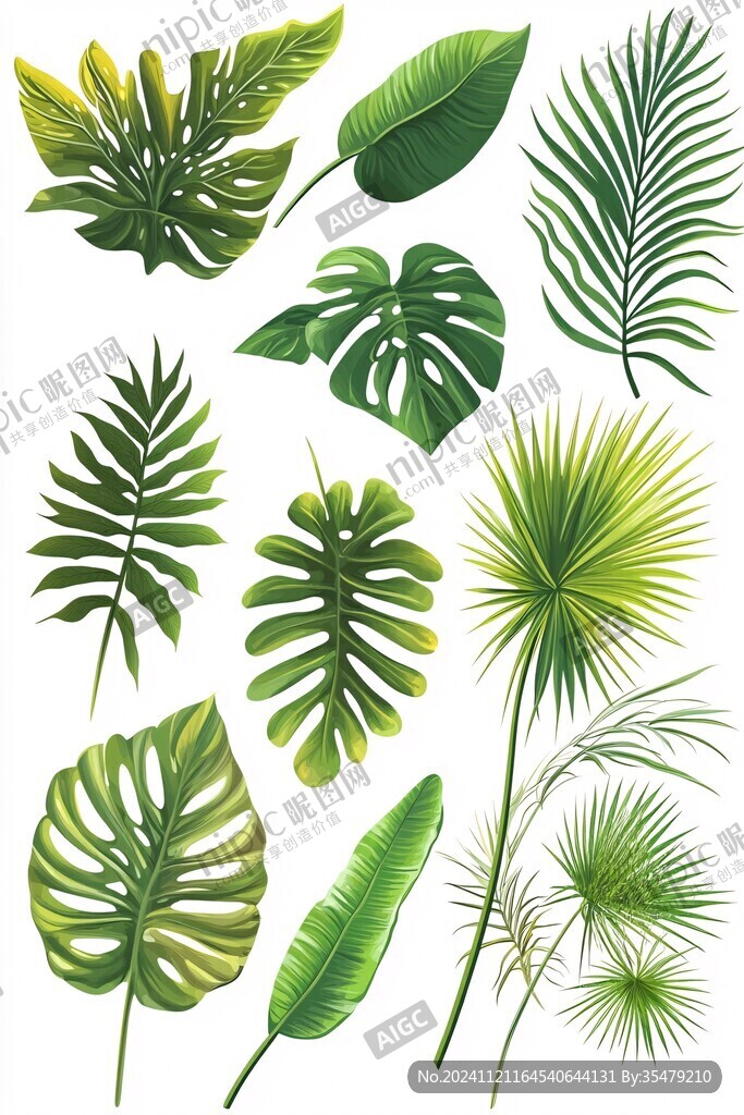 热带植物素材