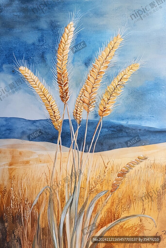 麦田水粉画