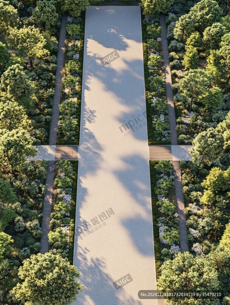 道路绿化林透视