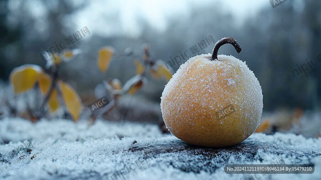 霜降柿饼柿霜