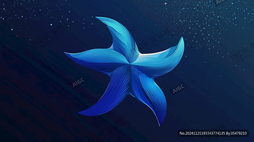 海星插画