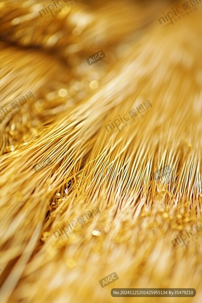 金灿灿麦穗
