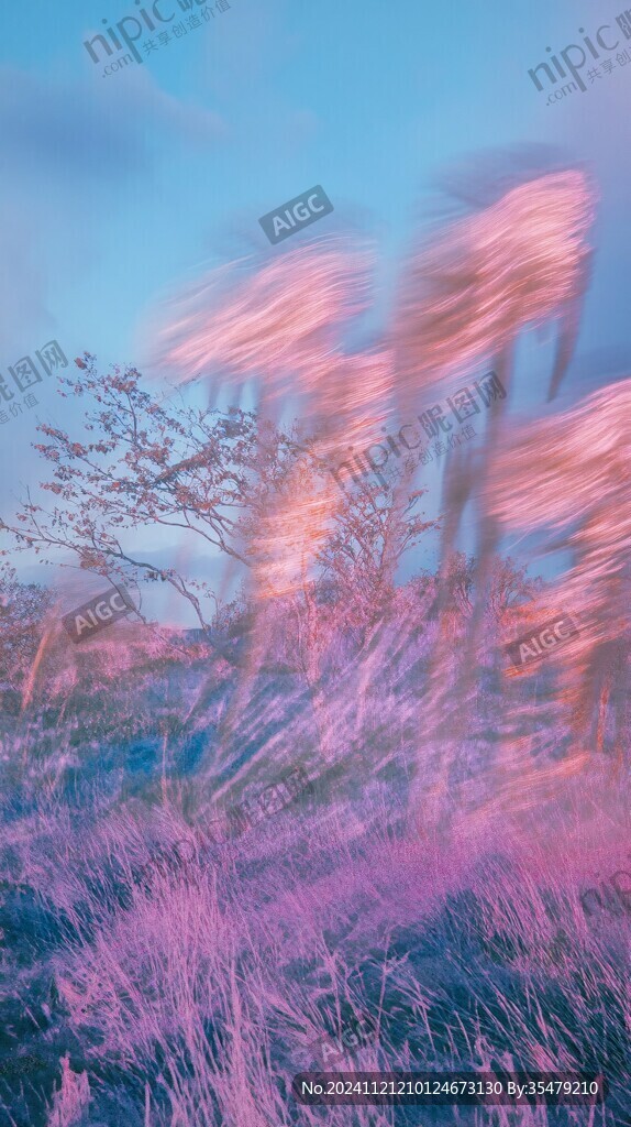 梦幻草