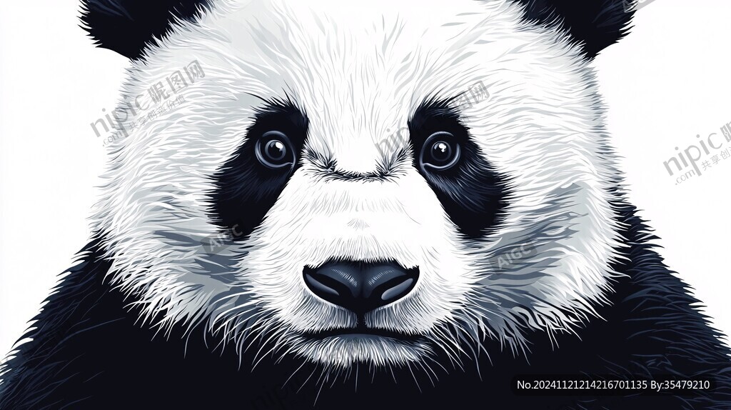 珍稀动物熊猫插画