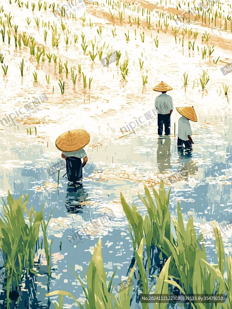稻田养鱼插画