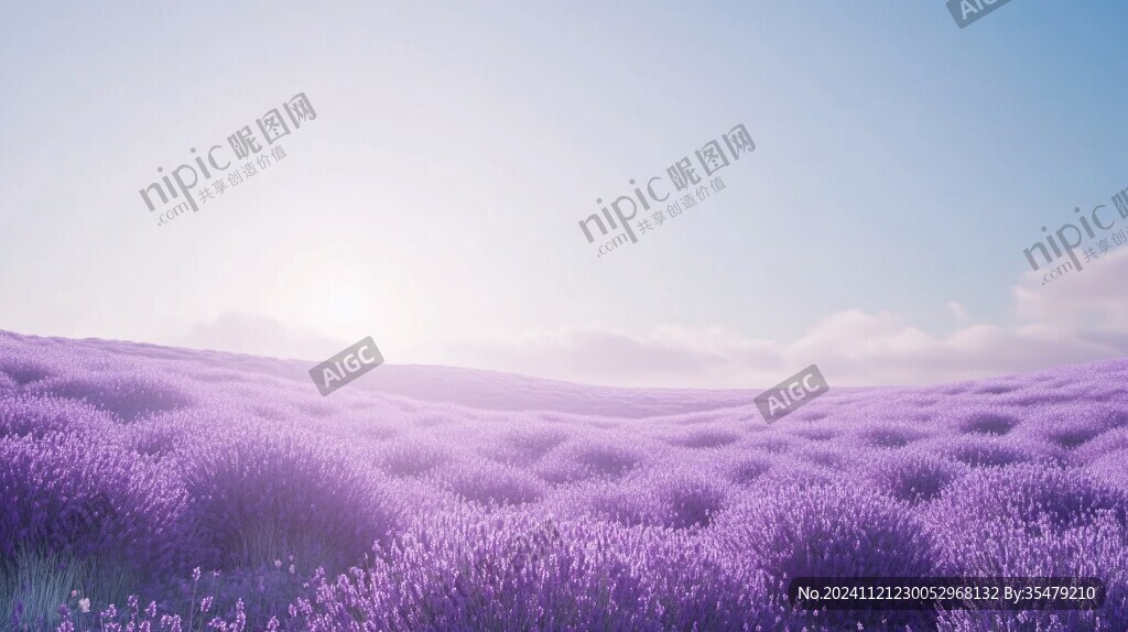 唯美梦幻花田场景