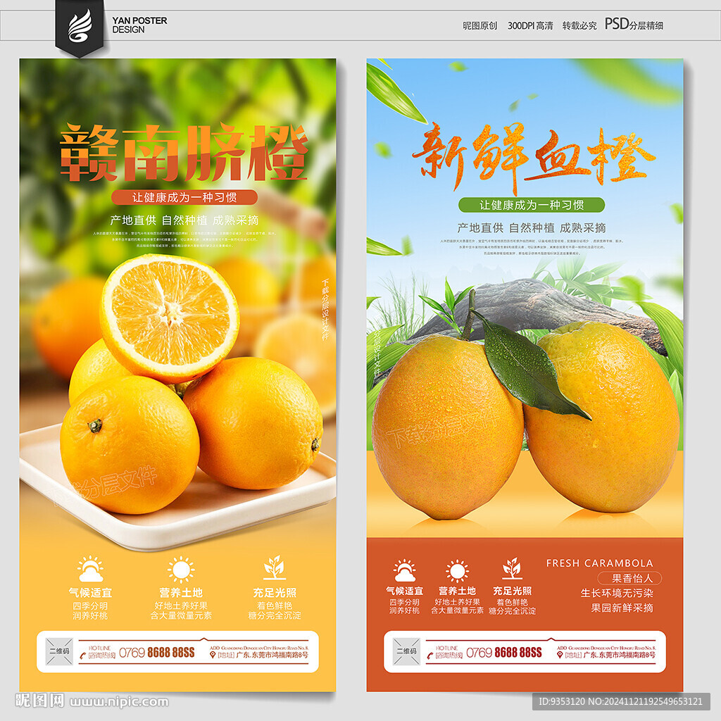 赣南脐橙