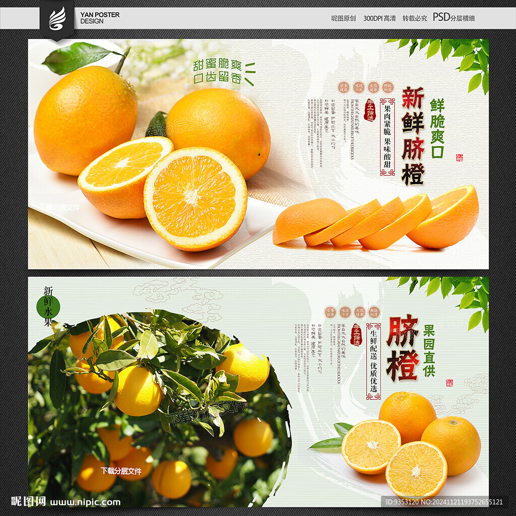 脐橙海报