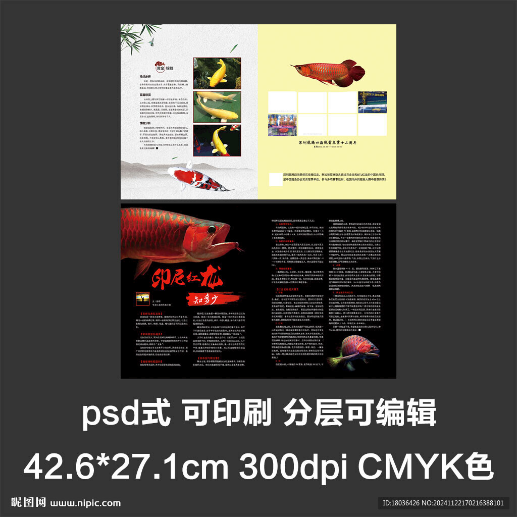 画册型录产品简介宣传册排版设计