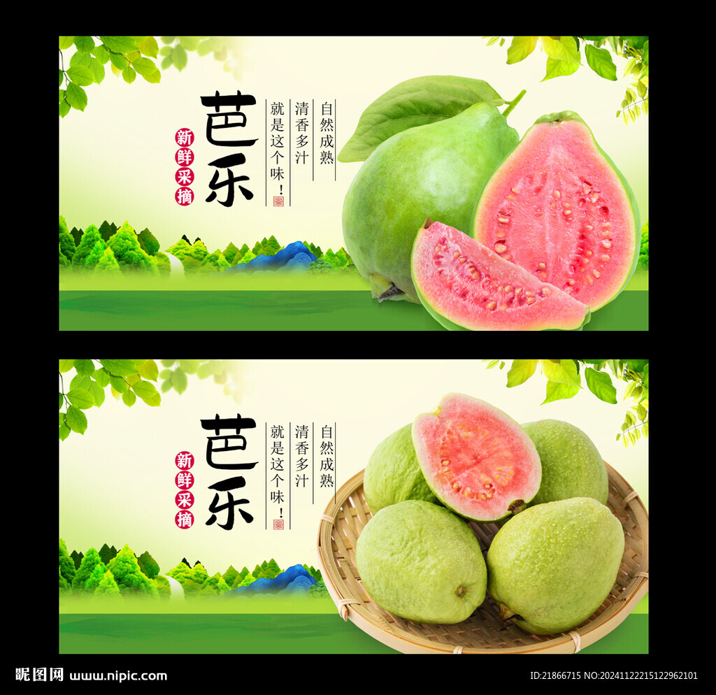 芭乐