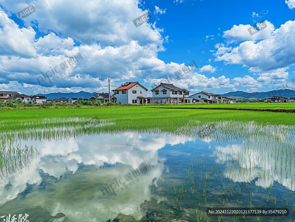 池上乡