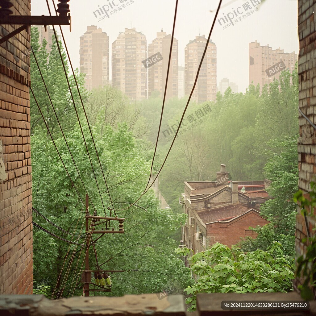 雨后的院子