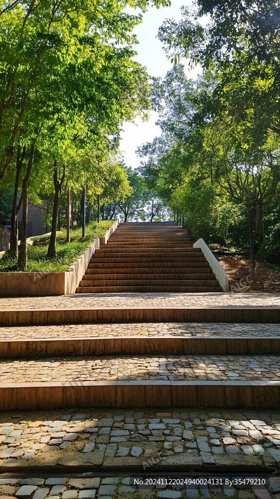 林荫台阶