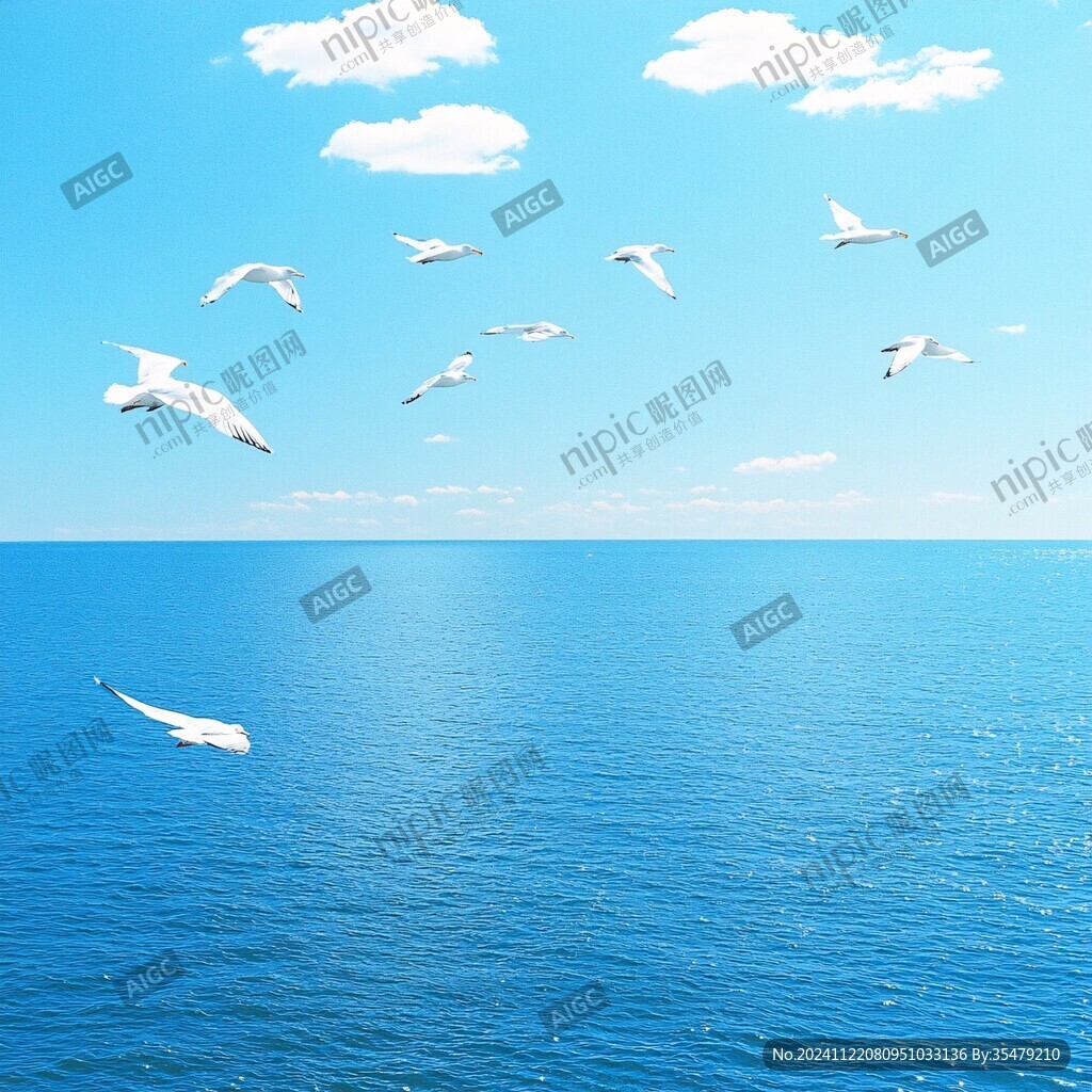 海鸥蔚蓝色的大海
