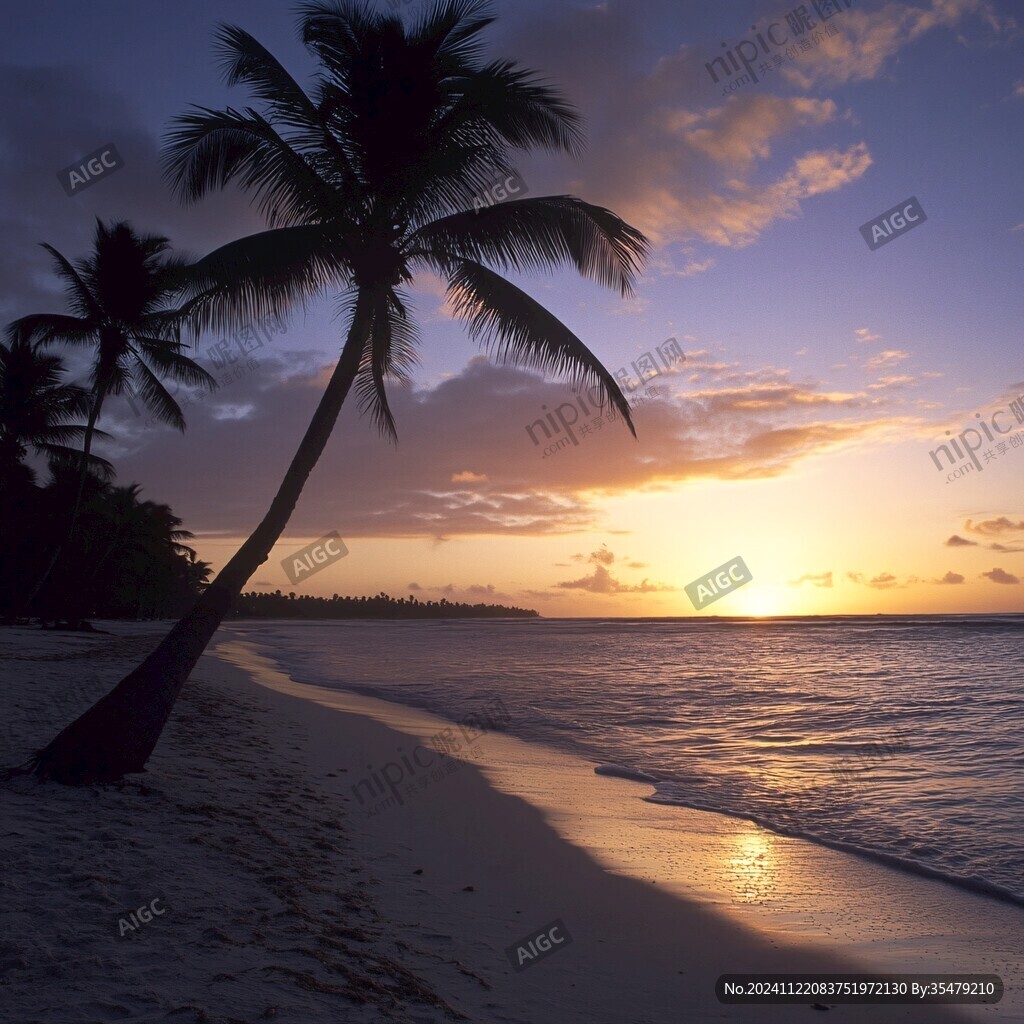 海边夕阳椰树