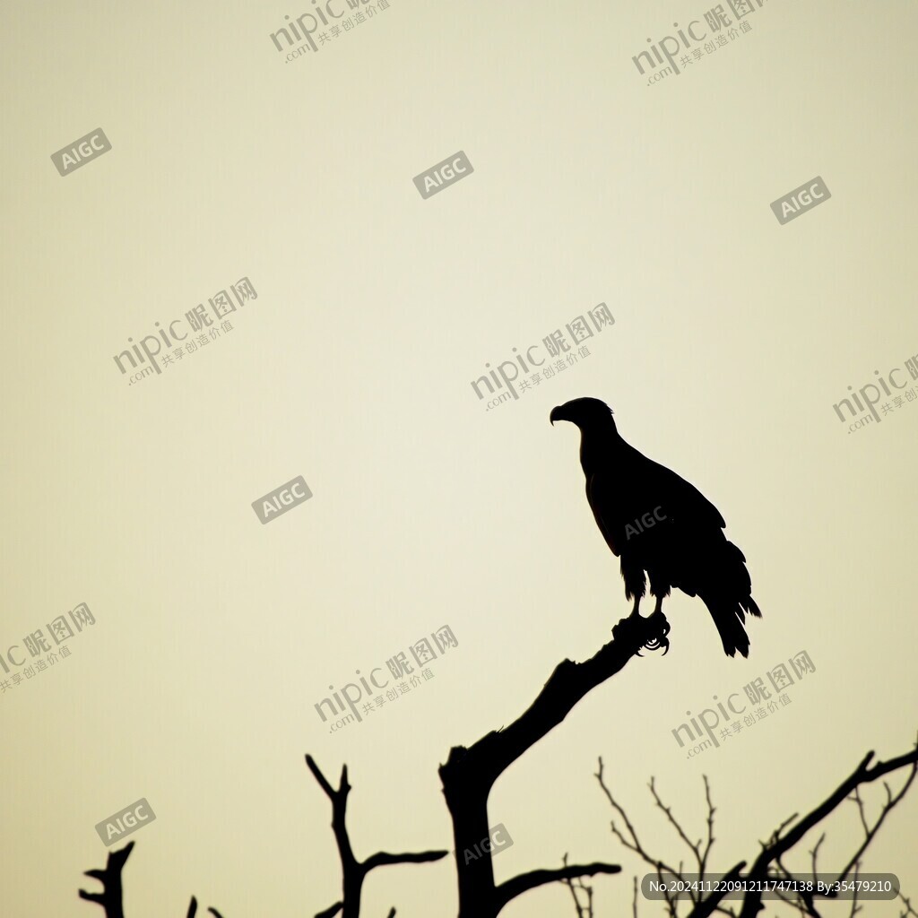 黄昏乌鸦