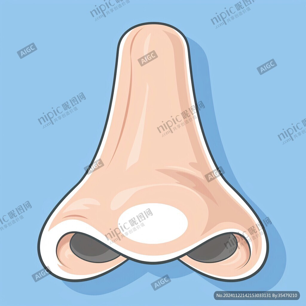 鼻贴立体图