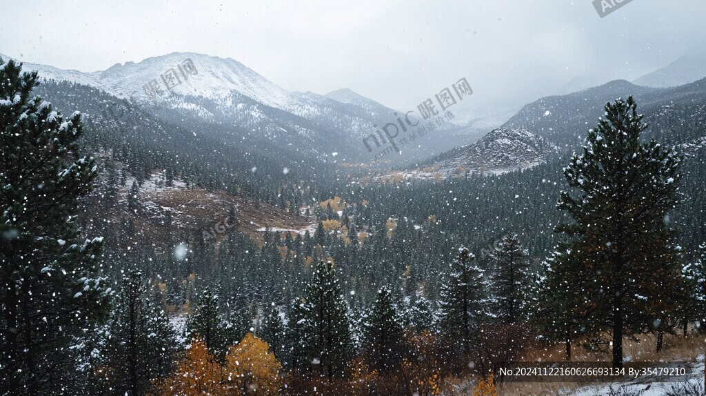 深秋白雪山峰森林黄叶