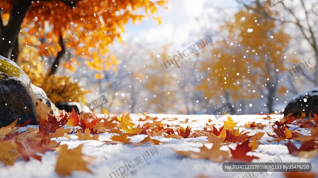 雪地红叶桌面背景