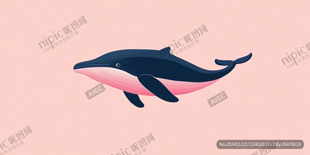 鲸鱼海豚插画
