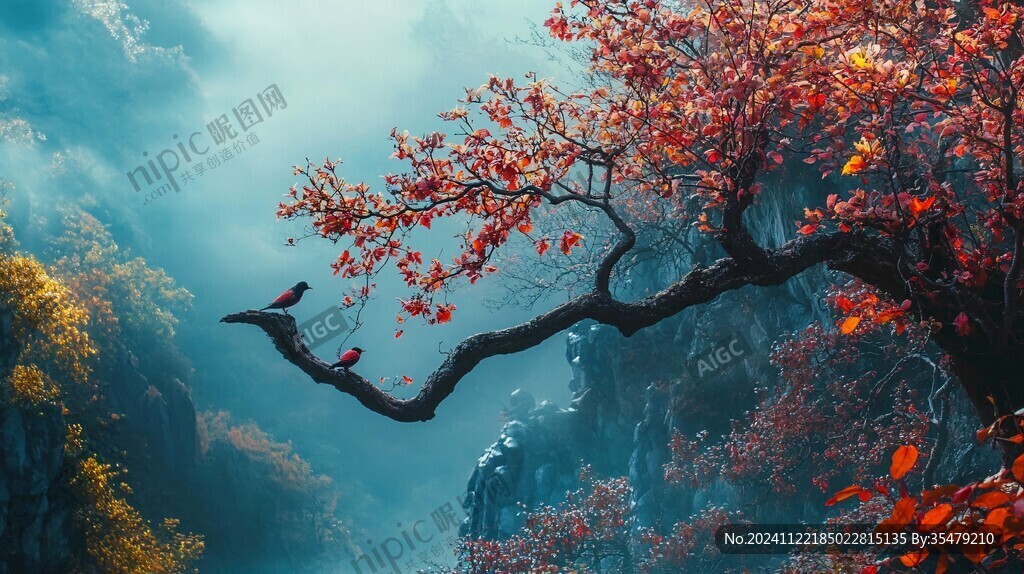 唯美乌桕树景秋色