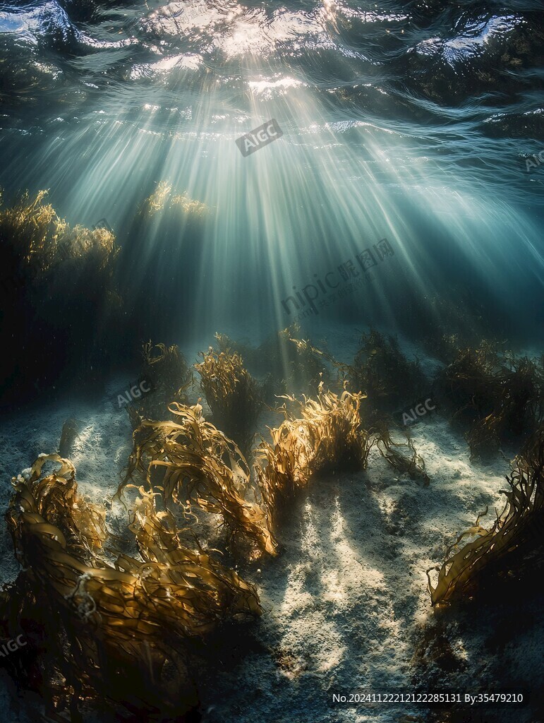 阳光透海底
