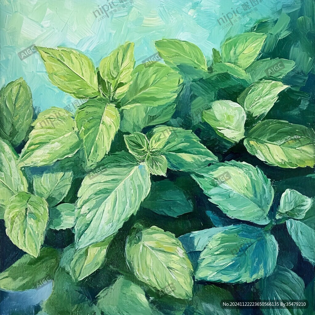 藿香插画
