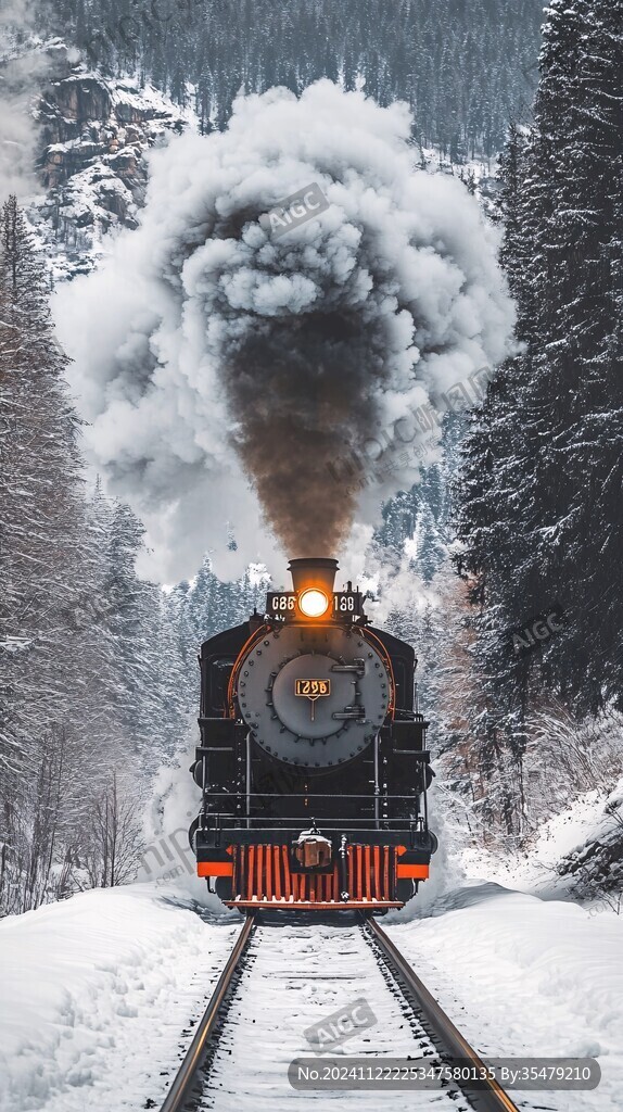 雪中蒸汽火车