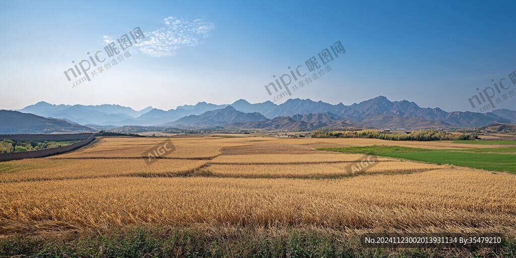 远山下的麦田
