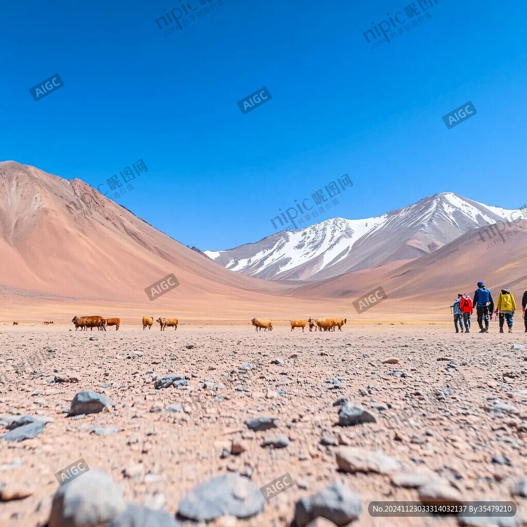 骆驼火焰山